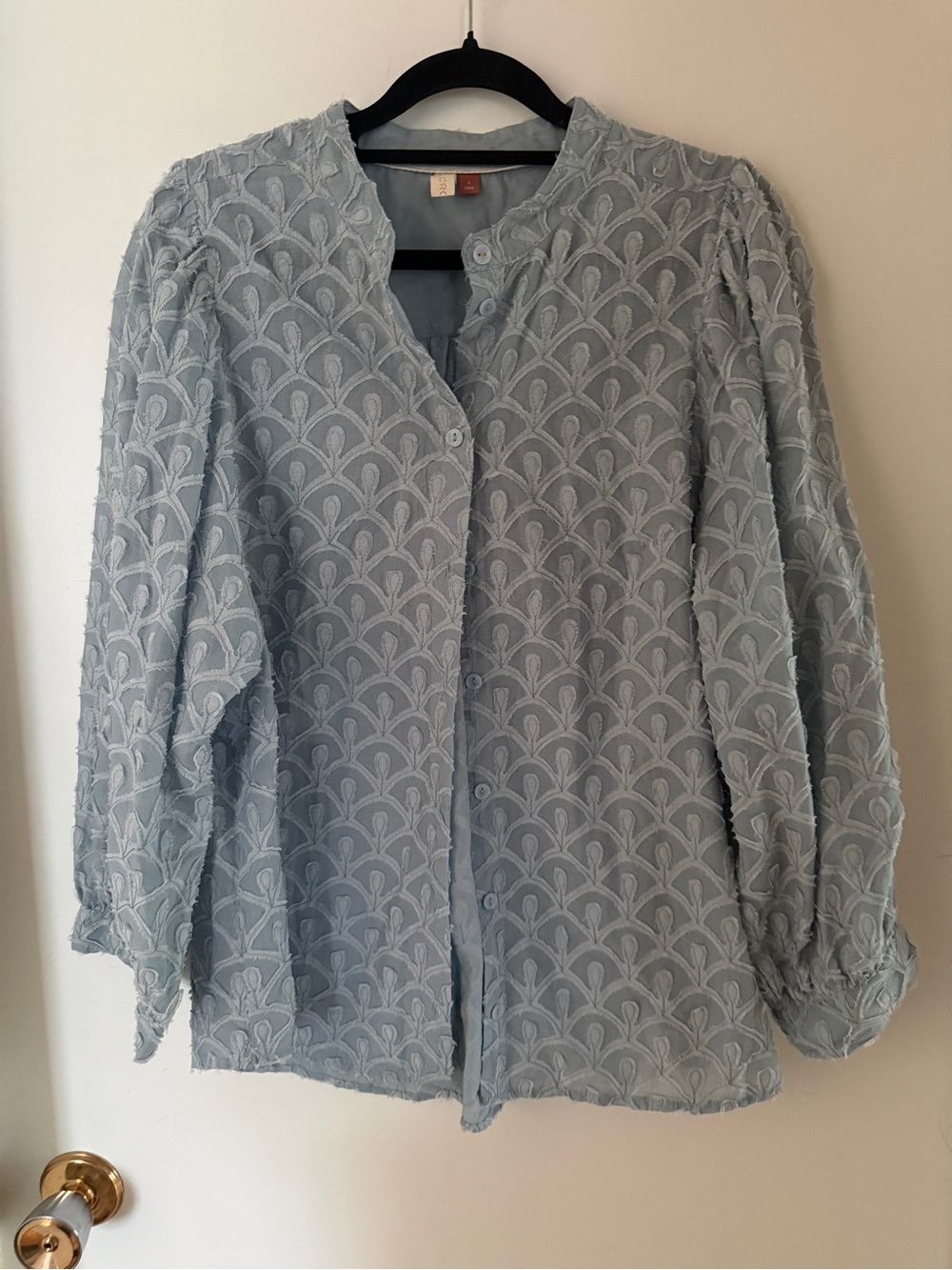 Pilcro Anthropologie Blue Embroidered Cotton Blouse Large Boho Button Front